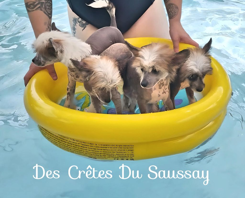 Des Crêtes Du Saussay - Notre premier plouf