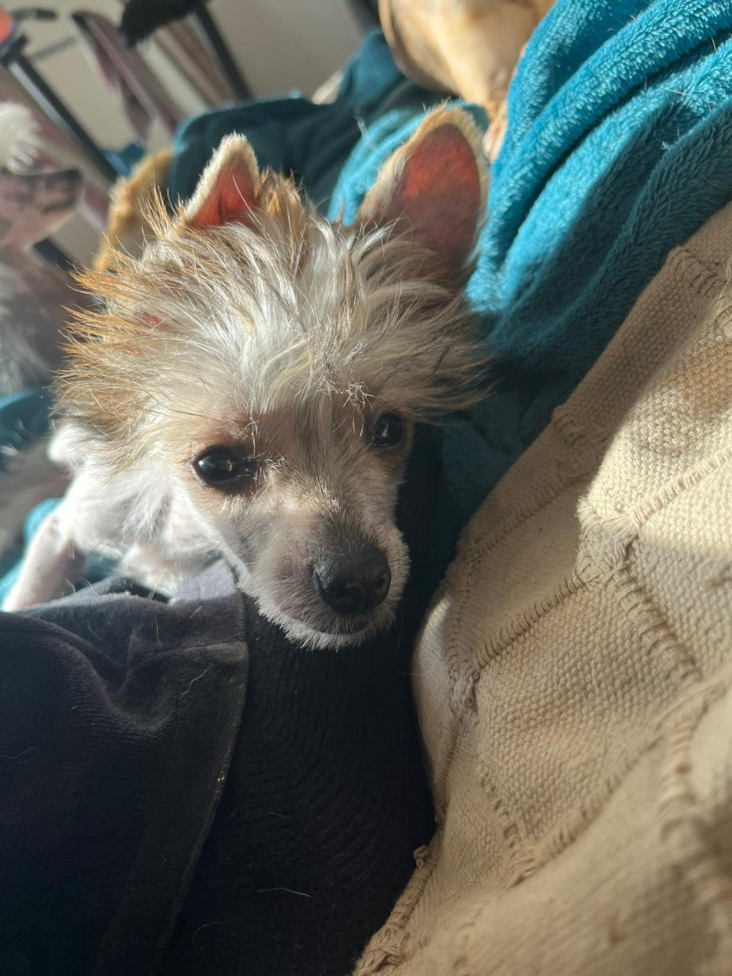  Une nouvelle page s'écrit...