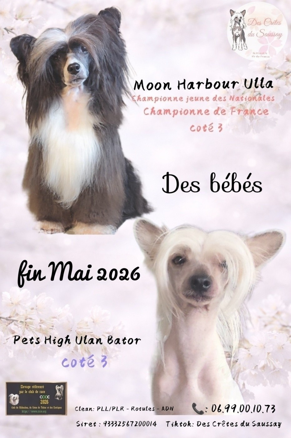 De l'amour à la maison