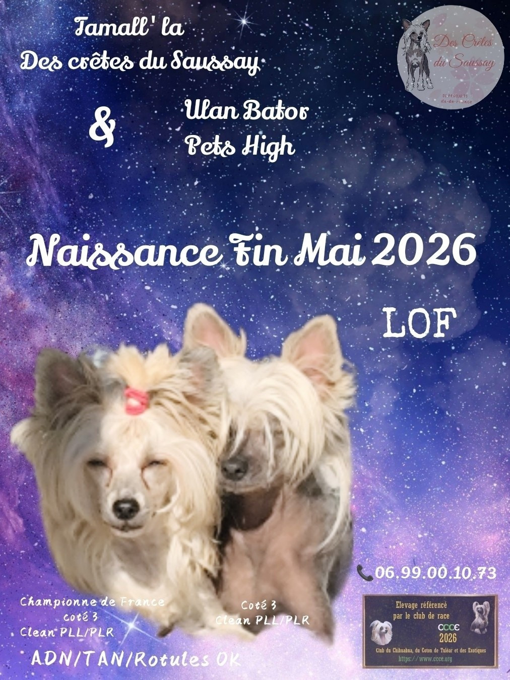 Une nouvelle palpitante