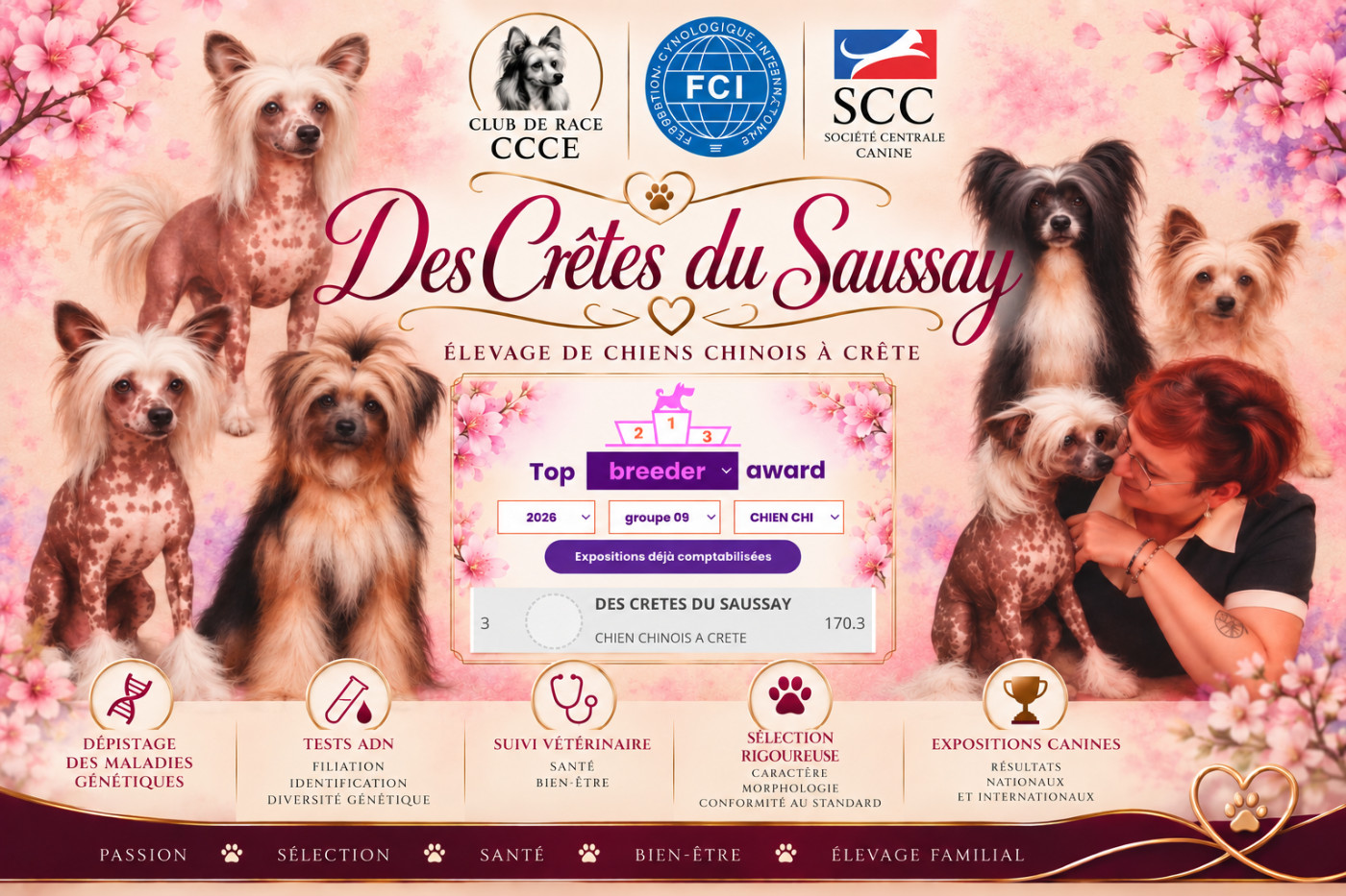 3e au classement des éleveurs de chien chinois